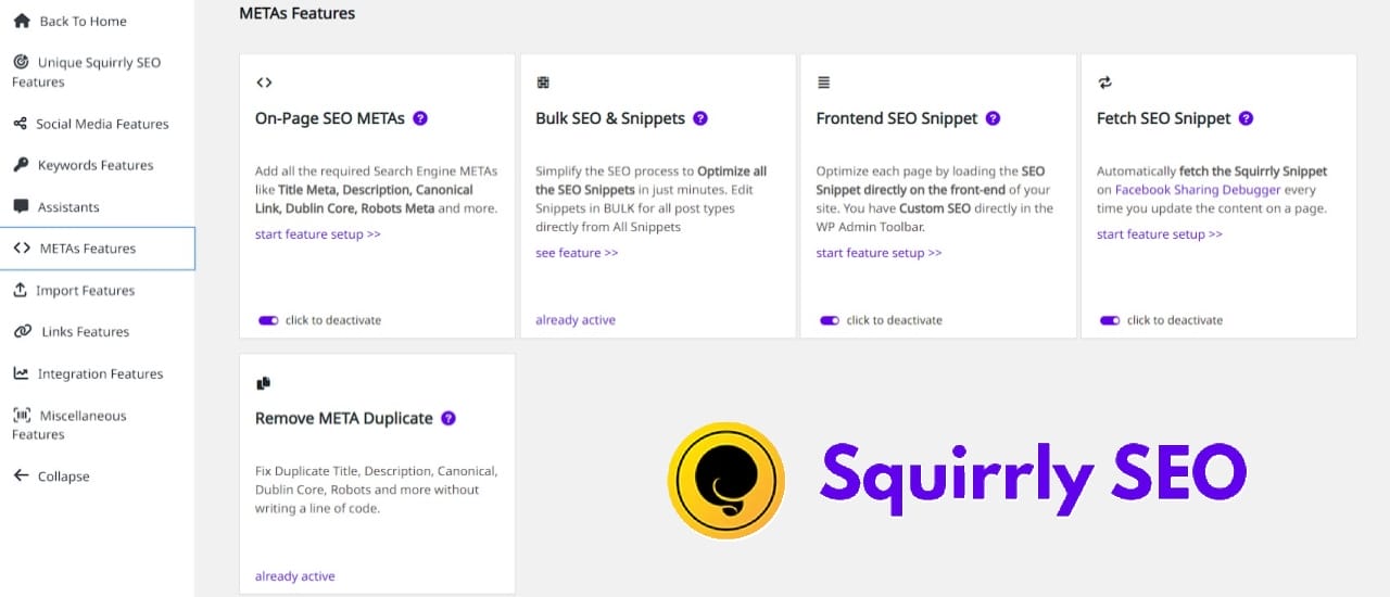 Squirrly SEO Review The Best WordPress SEO Plugin