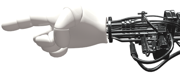 3 Best Budget AI Tools