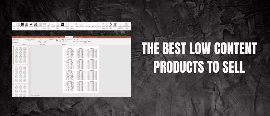 Best Low Content Products to Sell on Amazon KDP